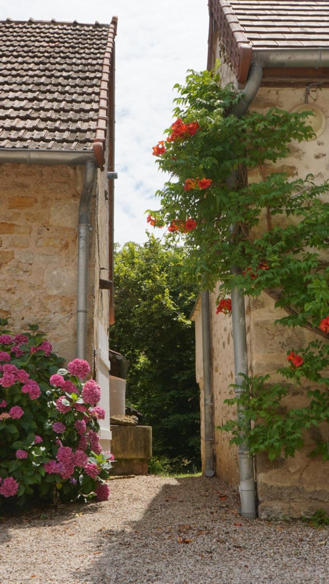 Domaine Les Bertrands Bed & Breakfast Couches Dış mekan fotoğraf